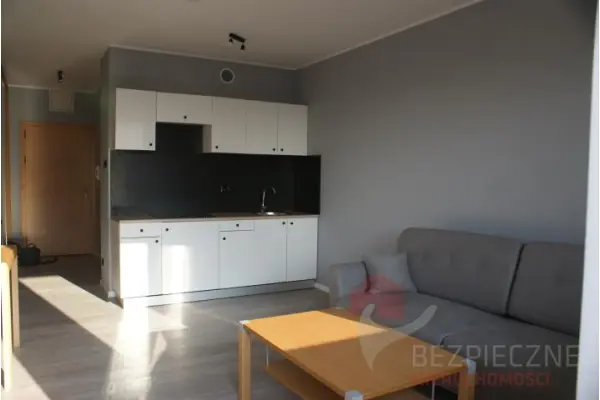 Poznań, wielkopolskie, Mieszkanie na wynajem